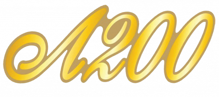 СДО МАОУ "Лицей №200"